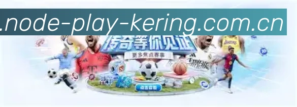 专业功能展示